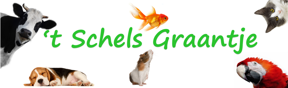 't Schels Graantje